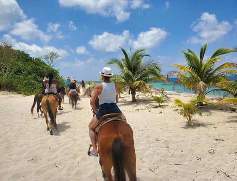 cozumel shore excursions mr sanchos