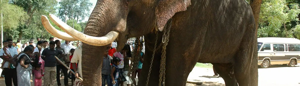 Namuang Safari Park