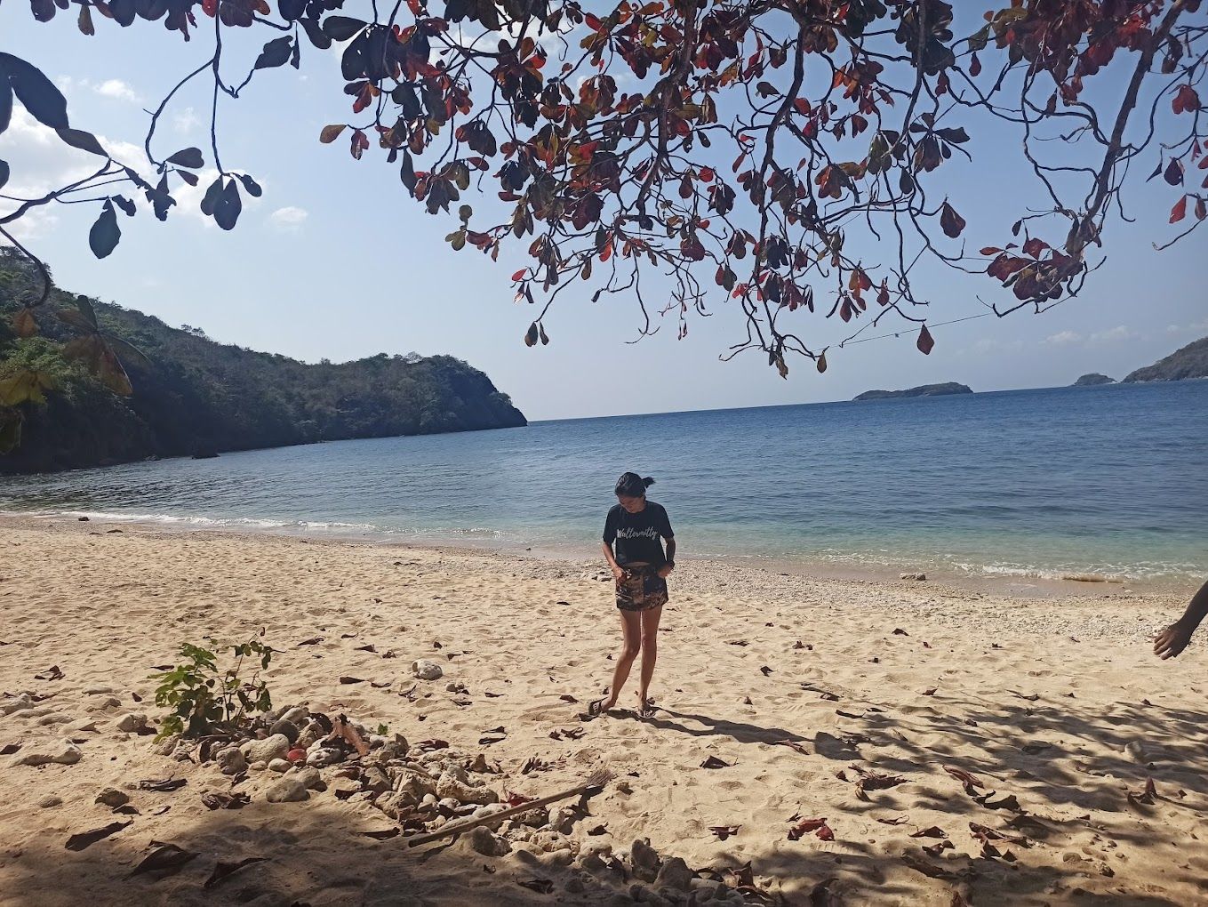 Papaya Island