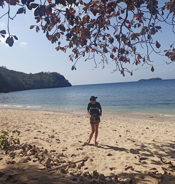 Papaya Island
