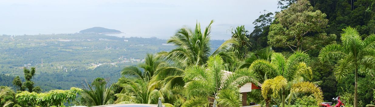 Paradise Park​ Farm