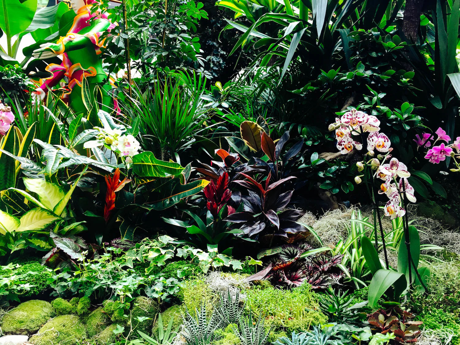 Paradise Tropical Garden