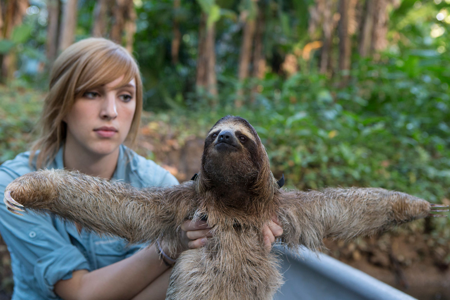 Sloth Sanctuary Of Costa Rica 