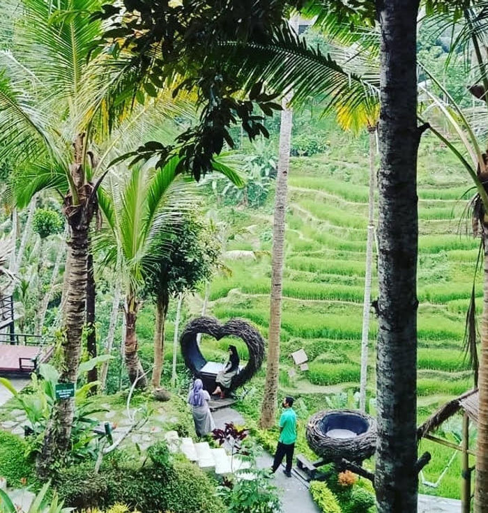 Uma Ceking Resto and Swing