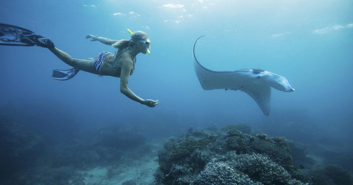 Snorkeling with Manta Rays in Nusa Penida
