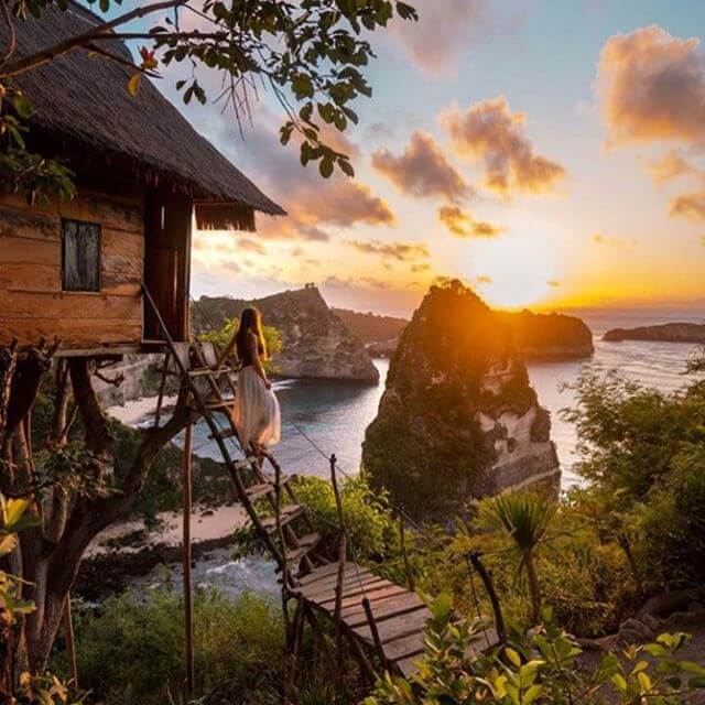 Bali treehouse on Instagram