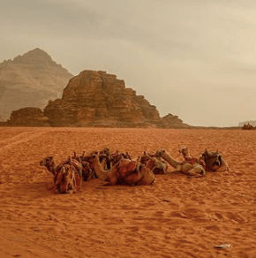 Wadi Rum Desert
