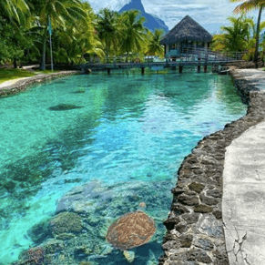 Stay in an over-water hut in Bora Bora
