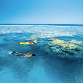 Snorkel the Great Barrier Reef