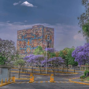Mexico city culture