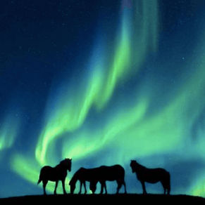 Northern Lights in Iceland