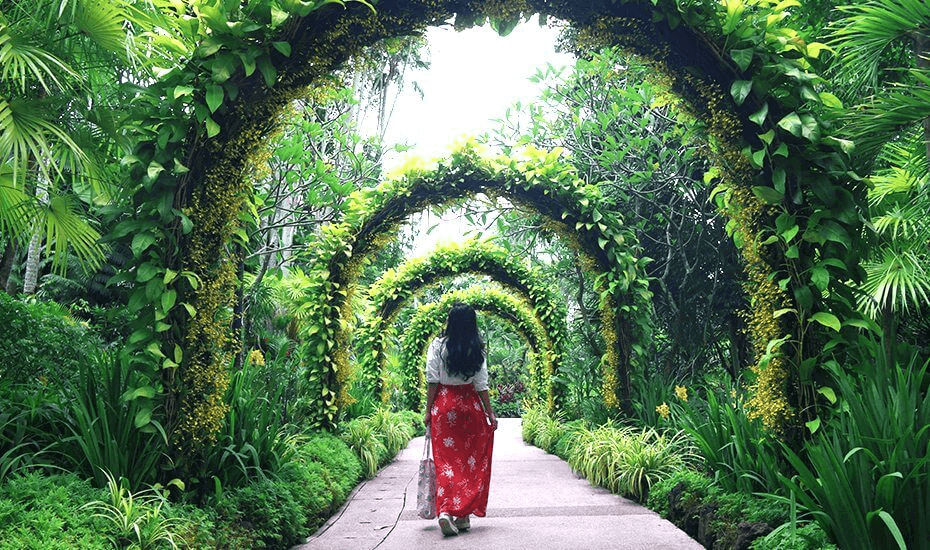 Botanic Gardens, Singapore