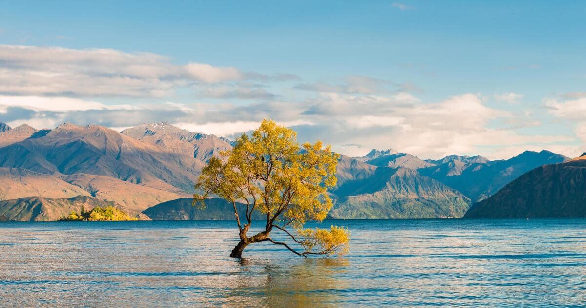  Wanaka in New Zealand 