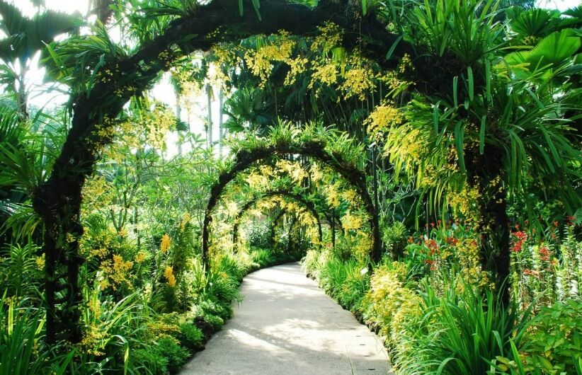 botanical gardens singapore