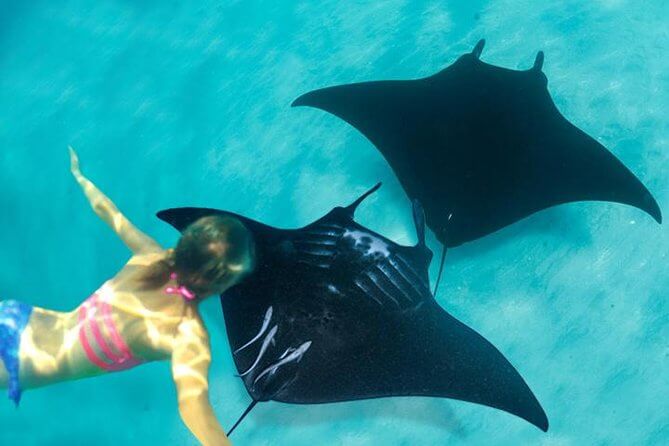 nusa penida manta rays
