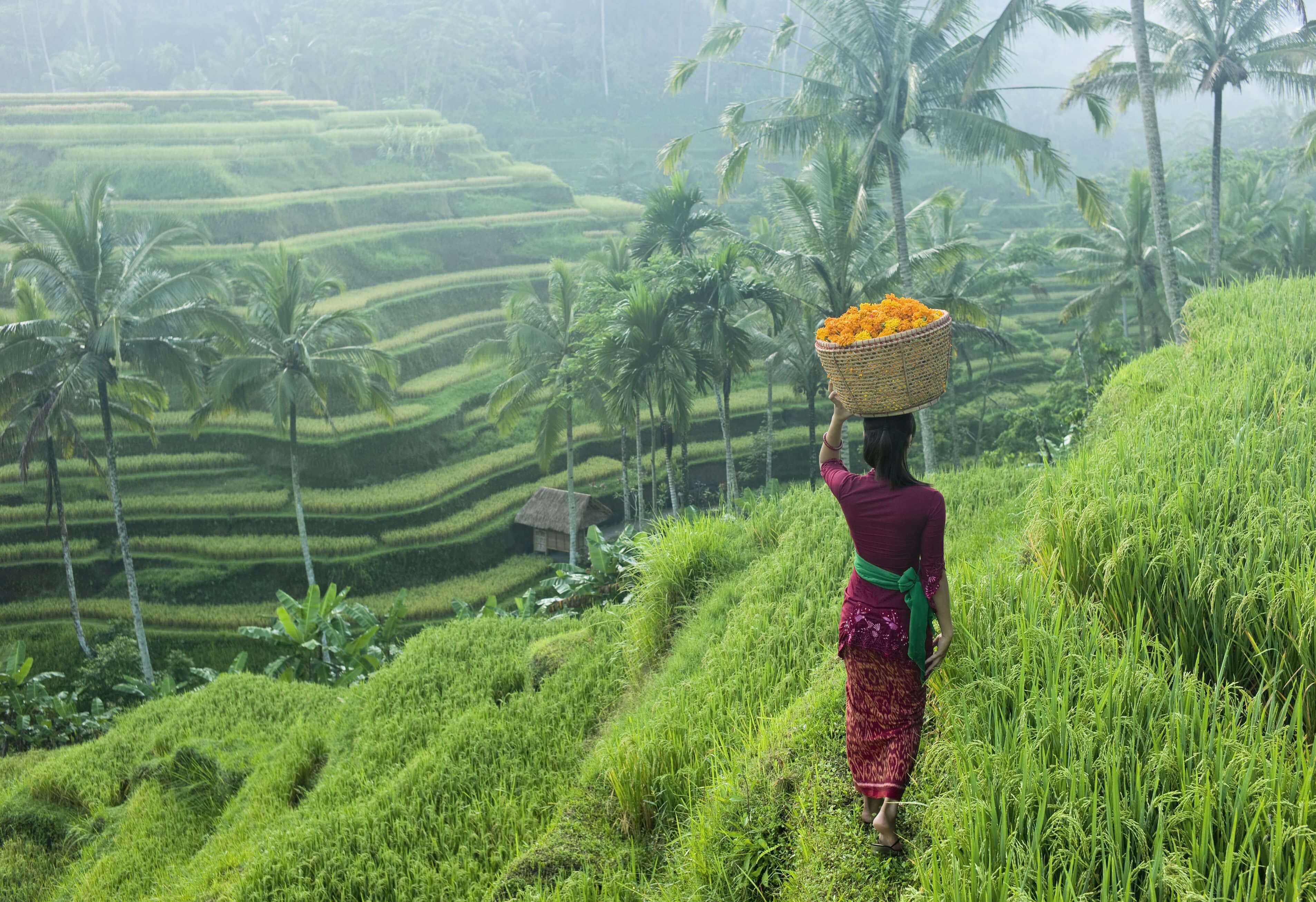 wet season bali