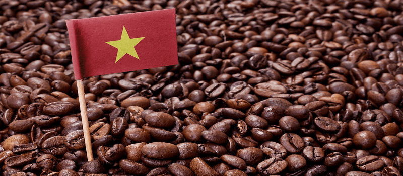 Coffee beans Vietnam