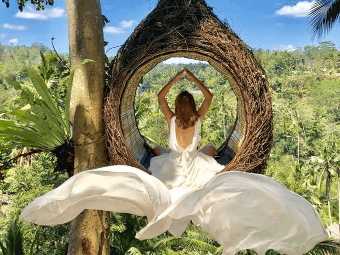 Birds Nest Bali