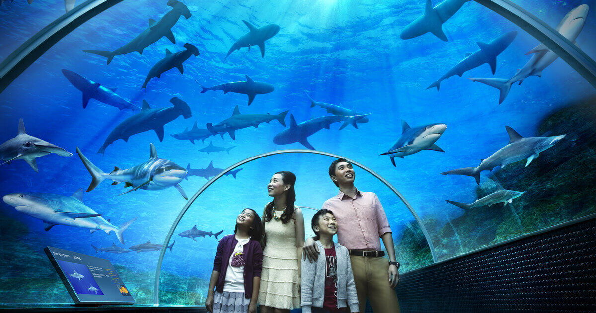 S.E.A. Aquarium, Singapore