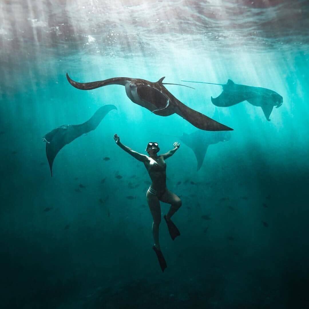 Manta Rays, Nusa Penida