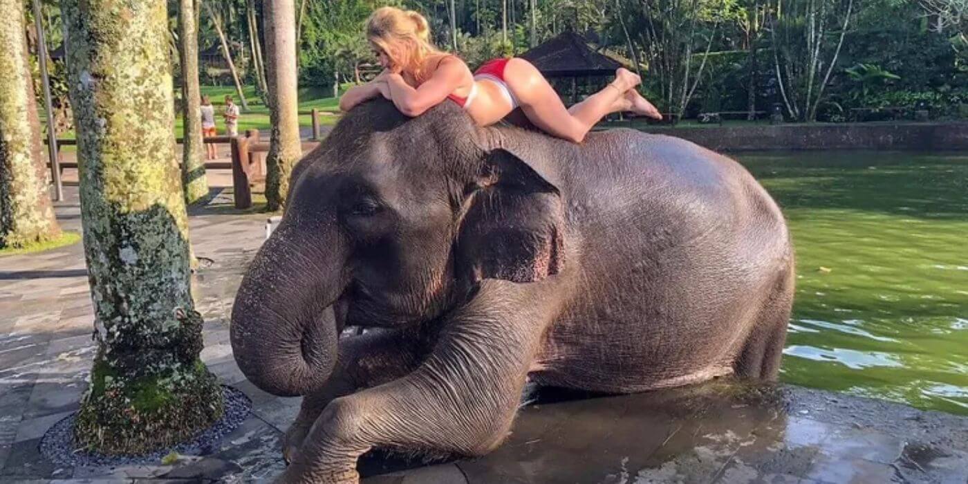 Relax with Elephants and Nature