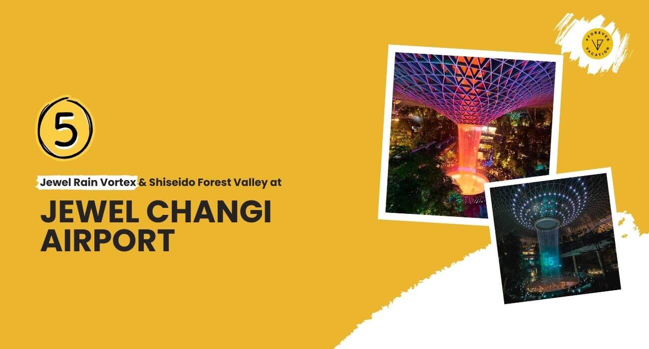 Jewel Rain Vortex & Shiseido Forest Valley at Jewel Changi Airport