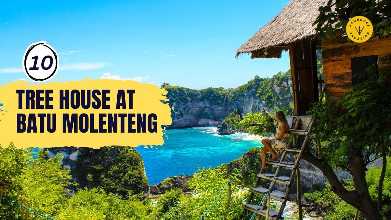 The Secret Tree House at Batu Molenteng