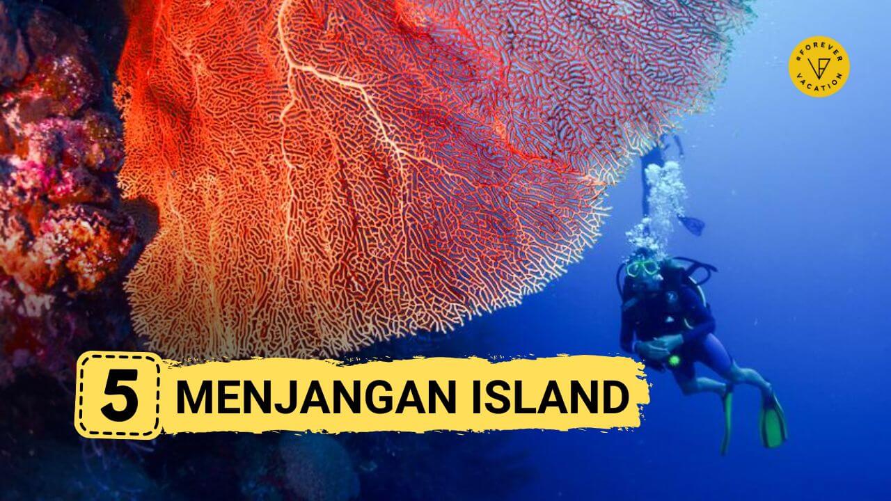 Menjangan Island