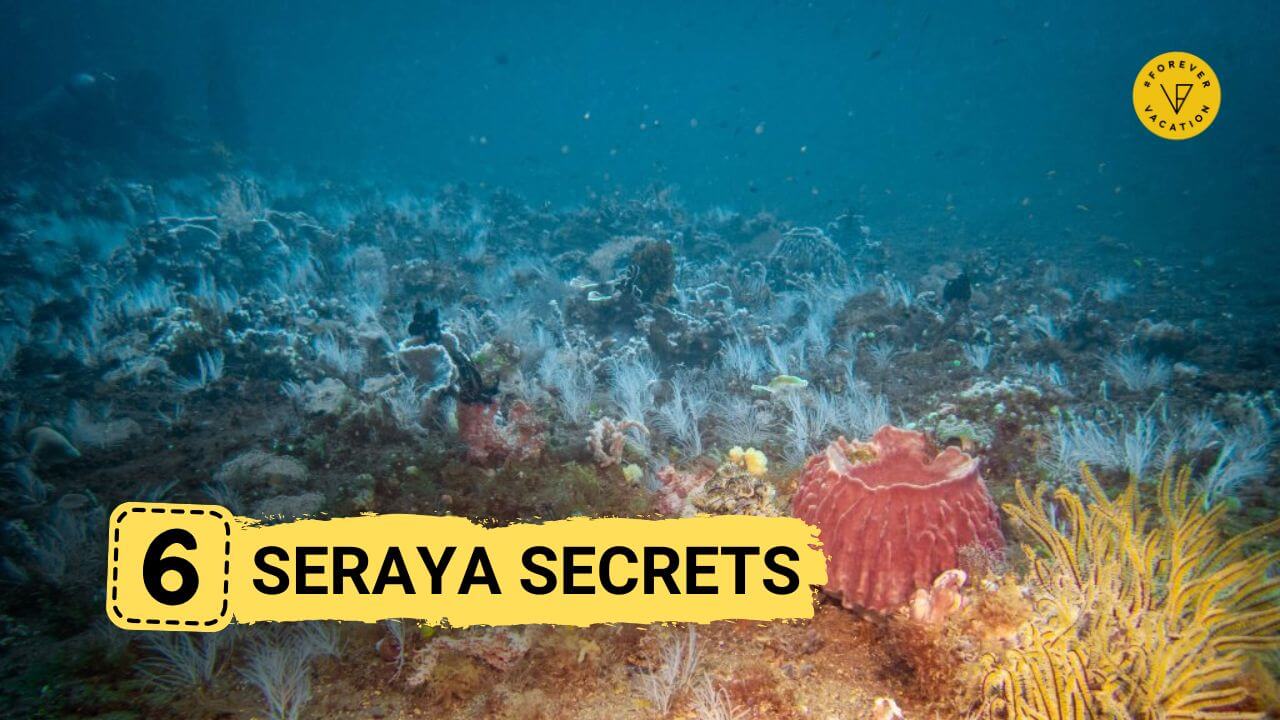 Seraya Secrets