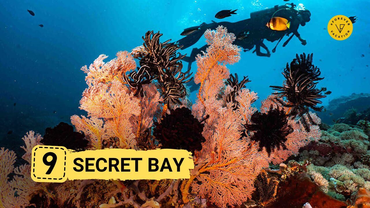 Secret Bay