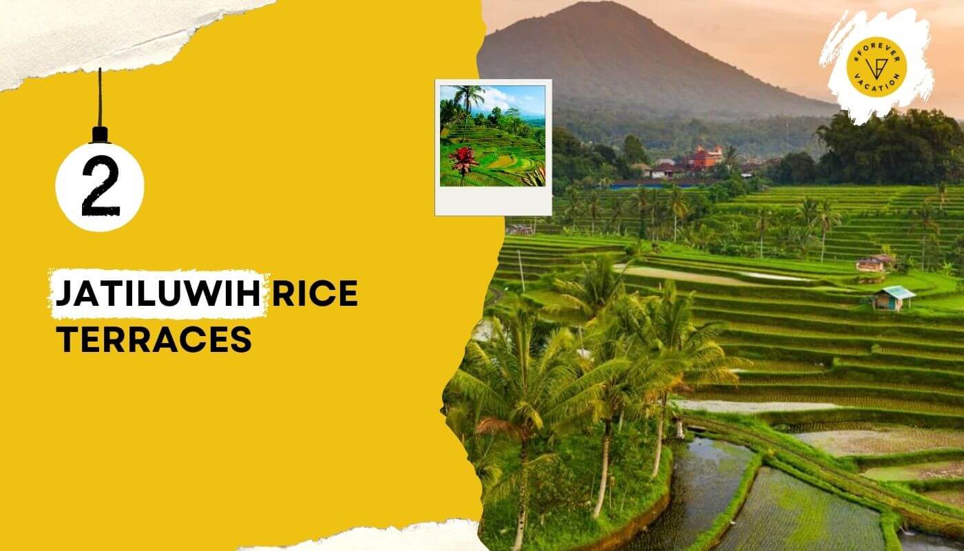 Jatiluwih Rice Terraces