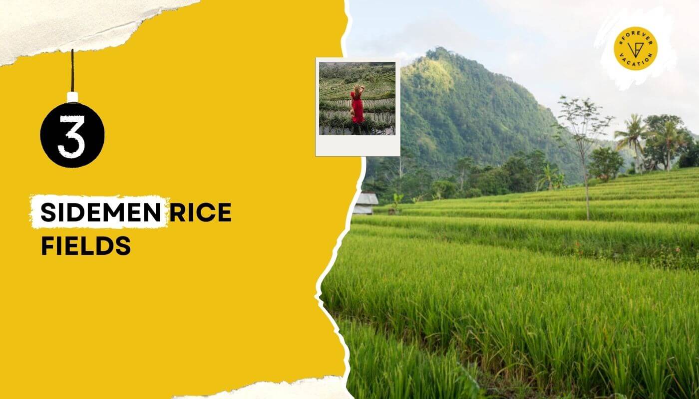 Sidemen Rice Fields