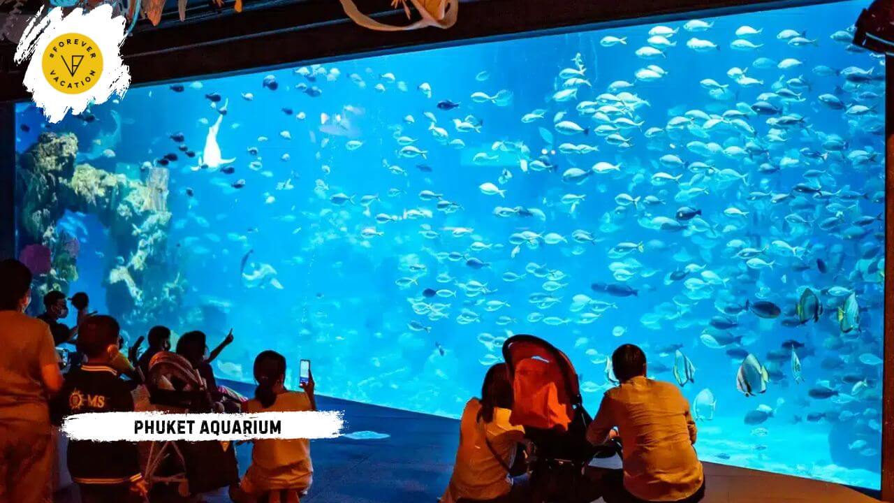 Phuket Aquarium – A Fun and Educational Rainy-Day Spot