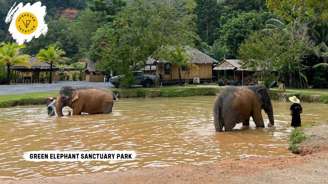 Green Elephant Sanctuary Park