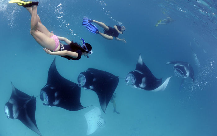 Nusa Penida Snorkeling Adventure