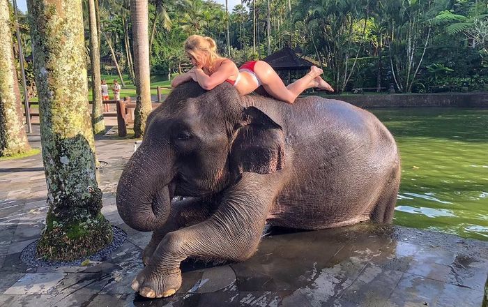 Bali Elephant Wash & Lunch Day Tour