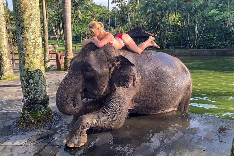 Bali Elephant Bath & Breakfast Day Tour