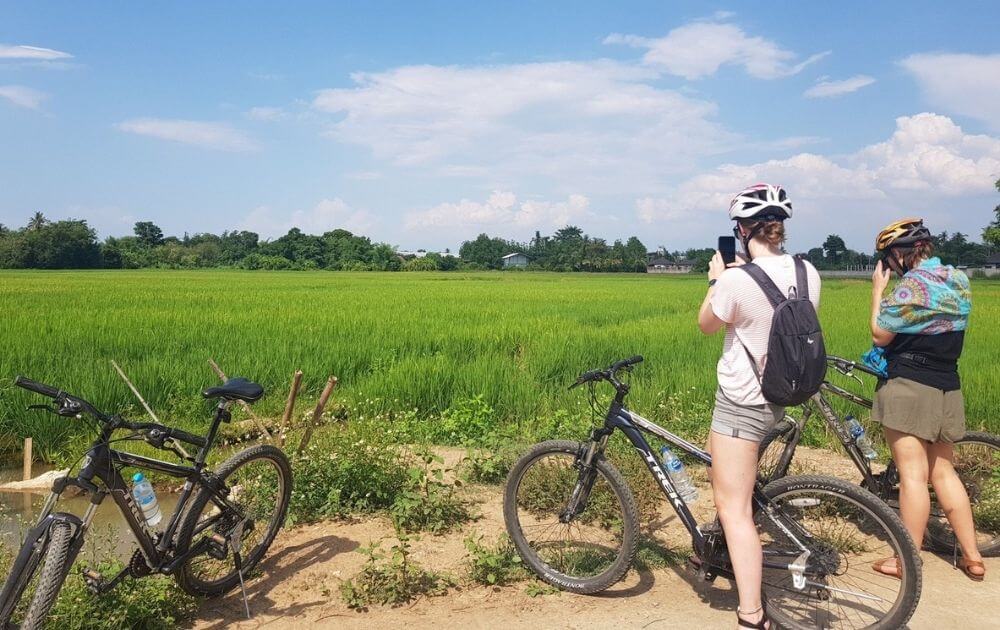 Chiang Mai Countryside Bicycle & Thai Cooking Class Experience