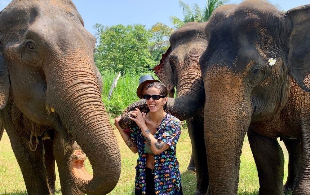 Chiang Mai Ethical Elephant Sanctuary & Temple Experience