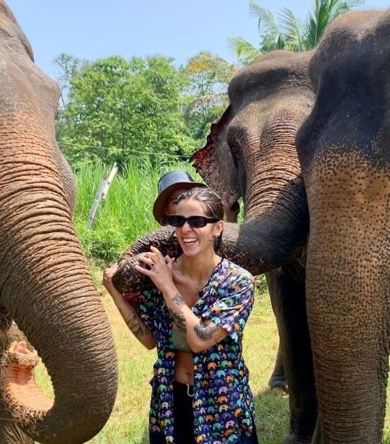 Chiang Mai Ethical Elephant Sanctuary & Temple Experience
