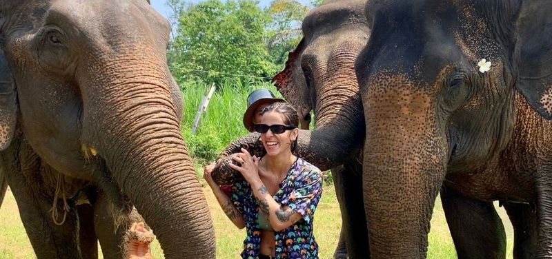 Chiang Mai Ethical Elephant Sanctuary & Temple Experience
