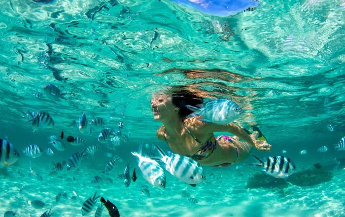 Phuket Coral Island Tropical Snorkeling Adventure