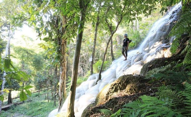 Doi Suthep Temple & Sticky Waterfall Tour