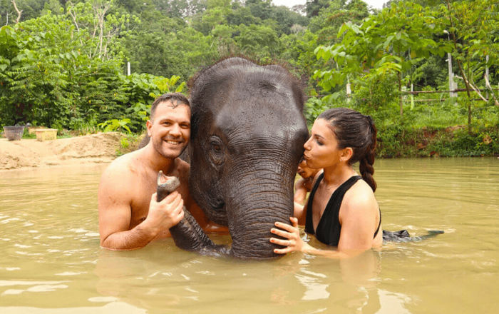 Phuket Ethical Elephant Experience & Intara Farm Tour