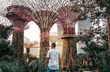 Gardens by the Bay, Singapore