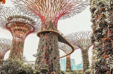 Gardens by the Bay, Singapore