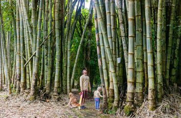 Bali Cultural Heritage and Bamboo Forest Tour        