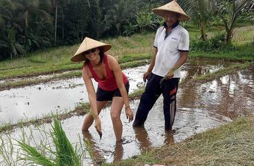 Bali Cultural Heritage and Bamboo Forest Tour        