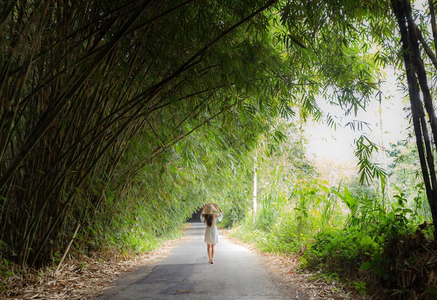 Bali Bamboo Forest At Penglipuran Village}