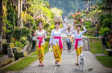 Bali Cultural Heritage and Bamboo Forest Tour        